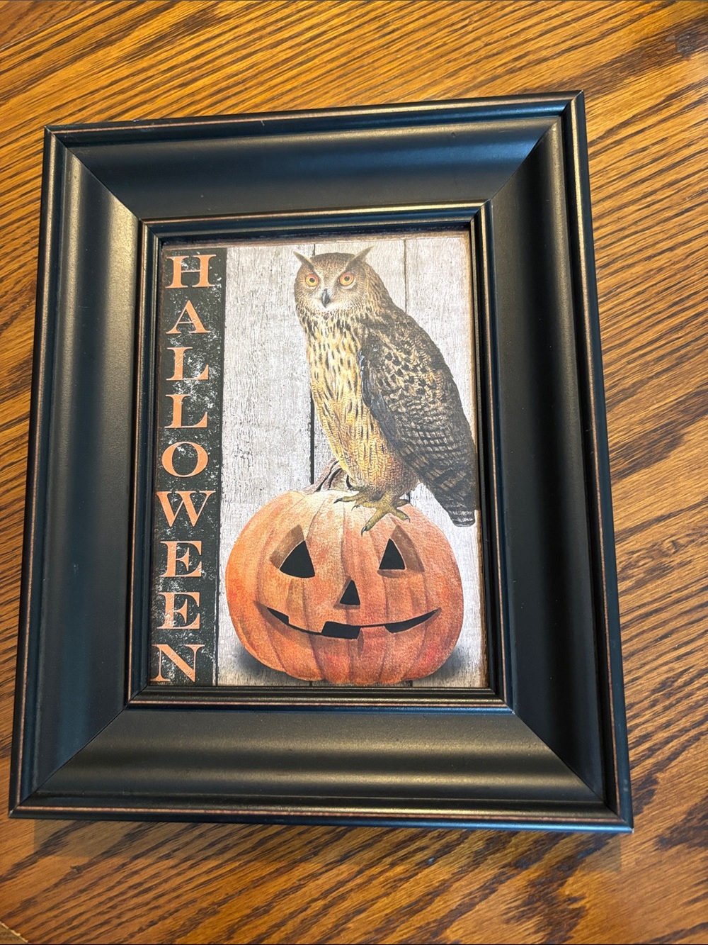 Halloween Owl Pumpkin Framed Print